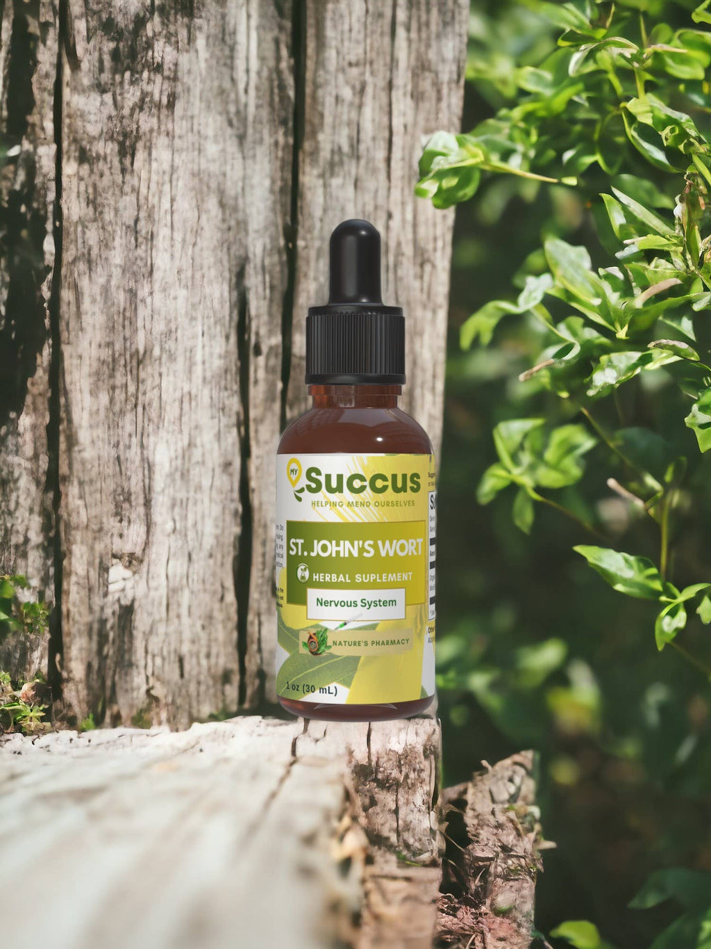 St. John's Wort Tincture | Nervous System (High Potency) | Alcohol-Free | 1 fl oz