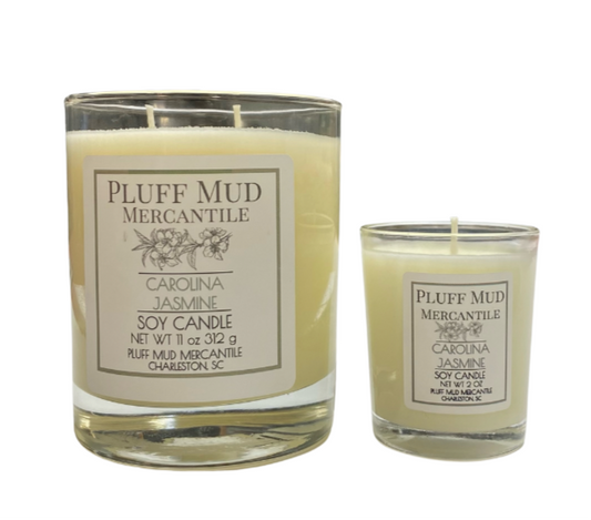 Carolina Jasmine- The Carolina Collection