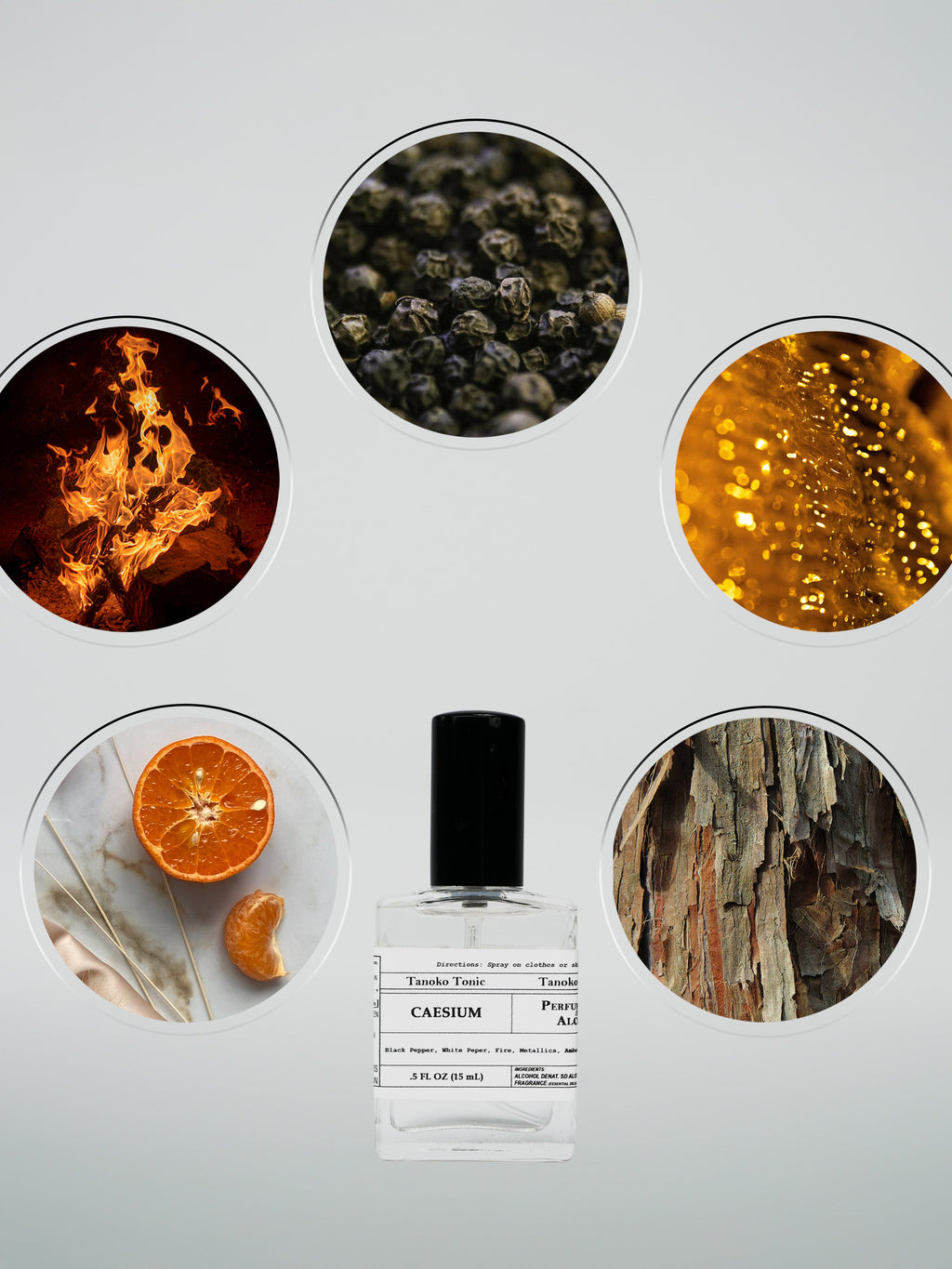 Perfume Sample Pack | One Vial of Each Scent