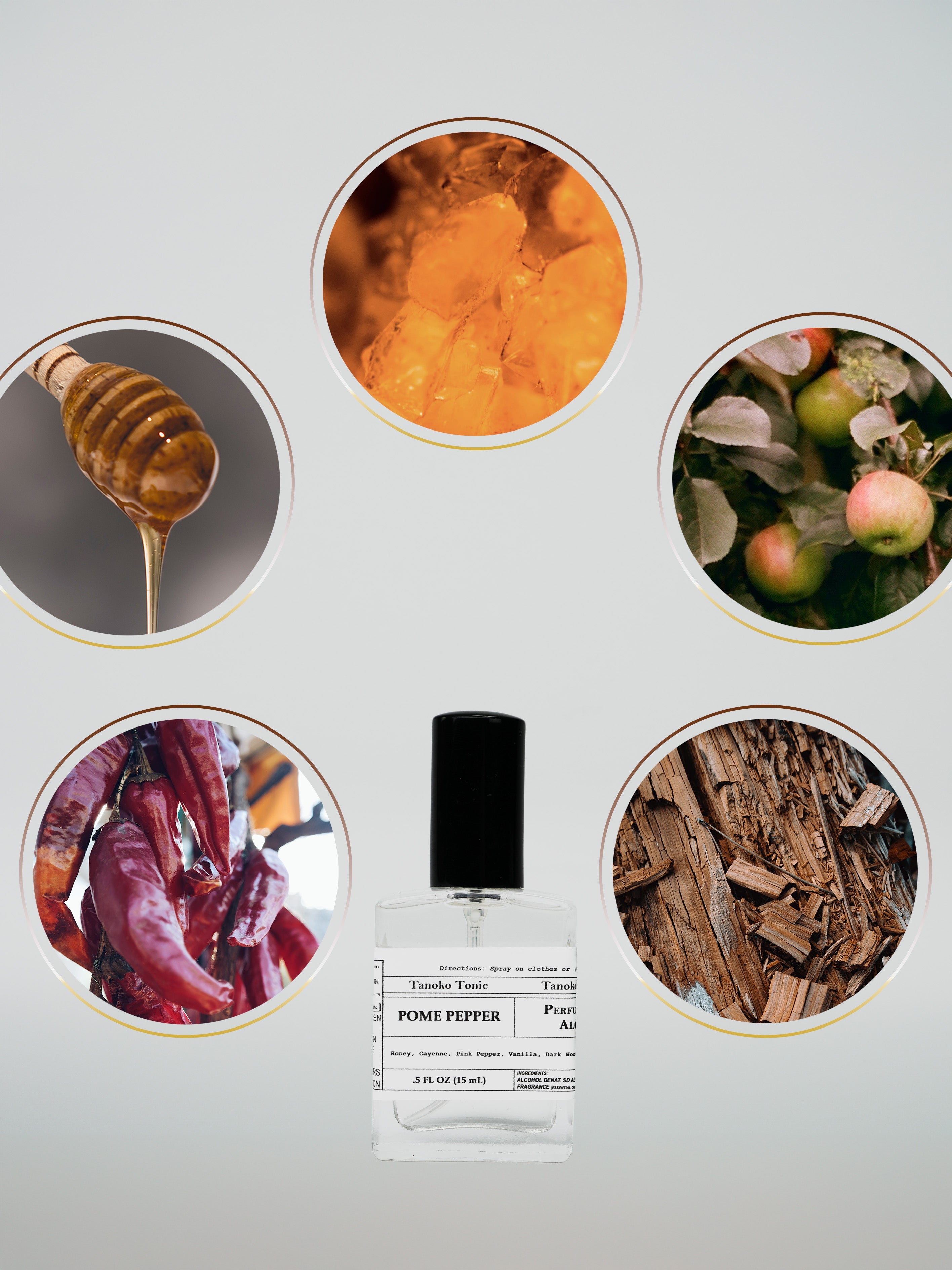 Perfume Sample Pack | One Vial of Each Scent