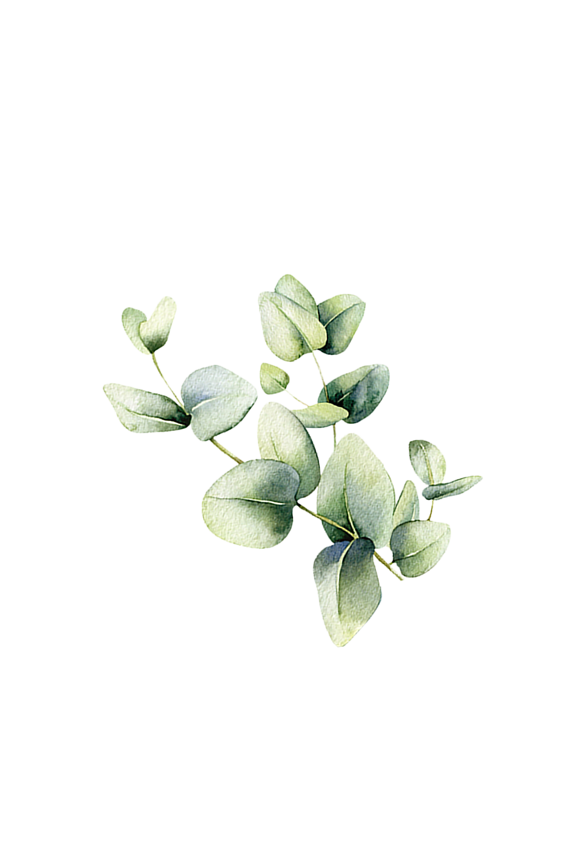 Room Spray | Eucalyptus